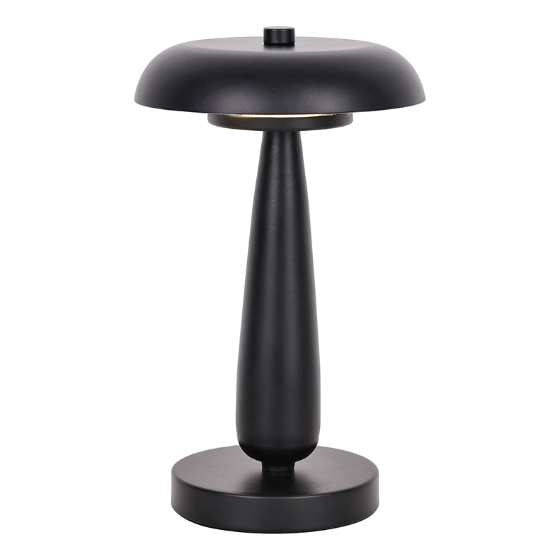 Black Desk Lamp with Battery