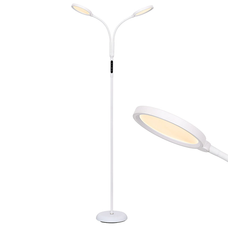 LED Floor Lamp With Double Heard